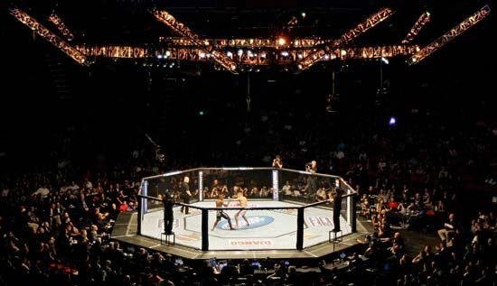 Importance of Experience‍ in UFC Octagon