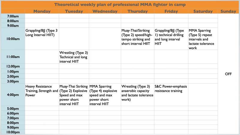 How To Create A Personalized MMA Conditioning Program