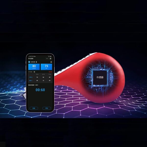 Unleashing Power: Review of the Force Test Kick Pad Meter - Image 2